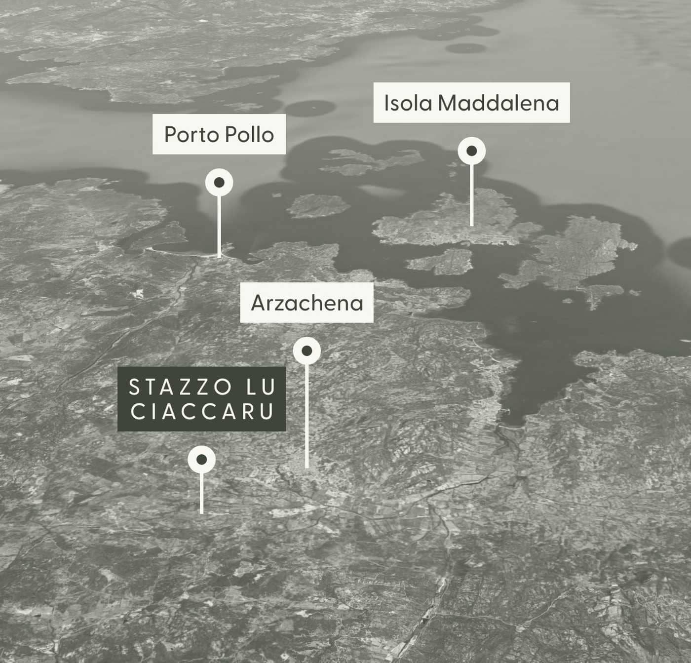 Immagine - 6e875722-350c-4f53-b9c2-3c2640bdd4d7