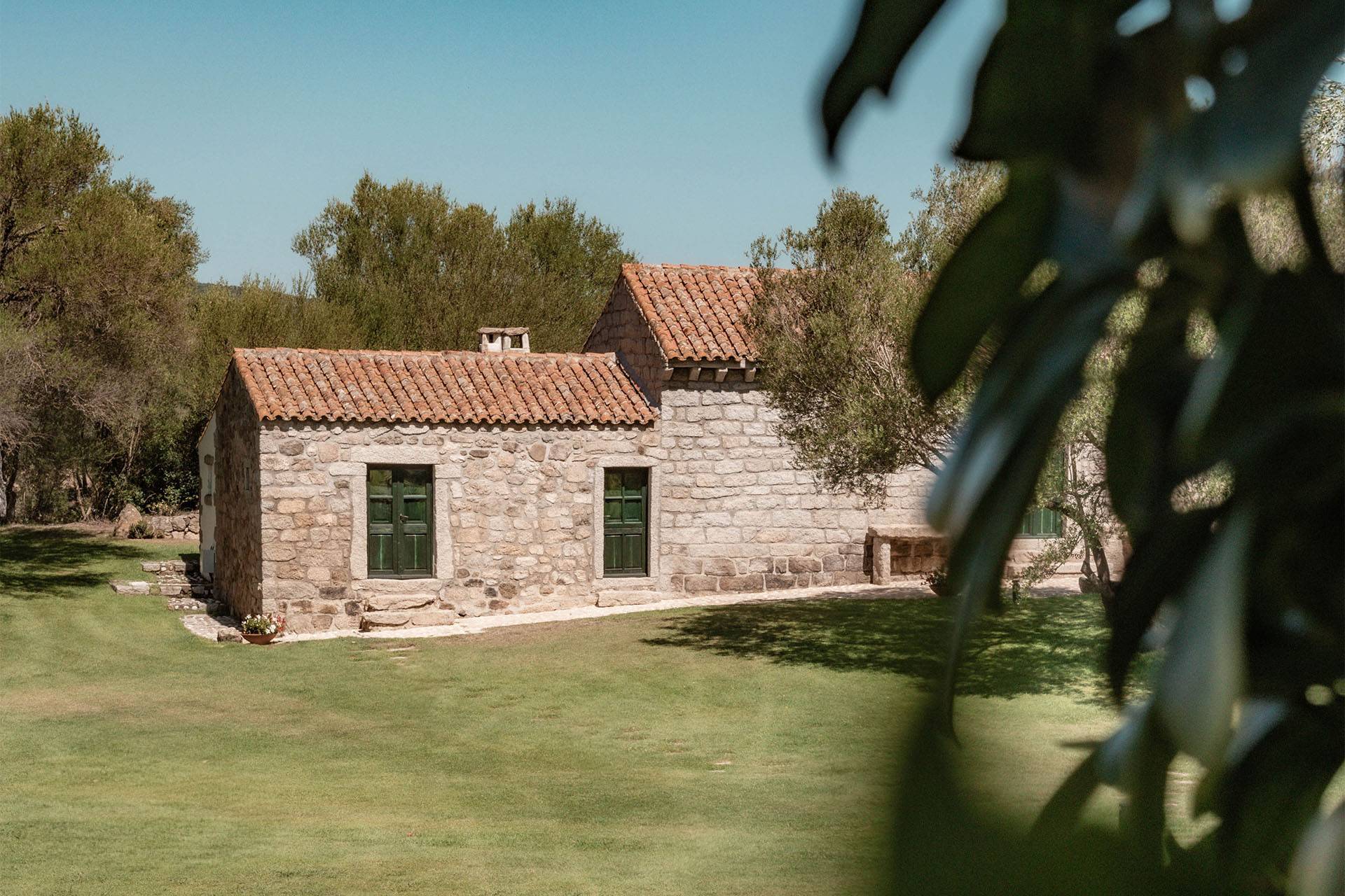 Immagine - f17af39d-d8b2-436c-8f82-370febe0a32d