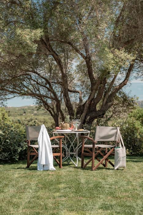 Immagine - b79f9b42-e476-4b12-951e-7bb4df707a2a