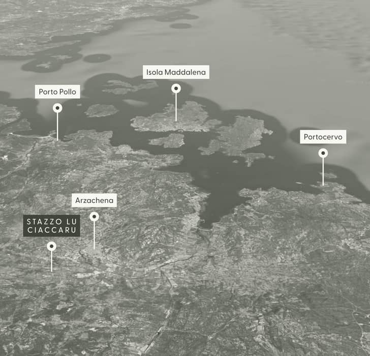 Immagine - ec9a7f96-ddf9-446c-a9ce-89cc120e5879