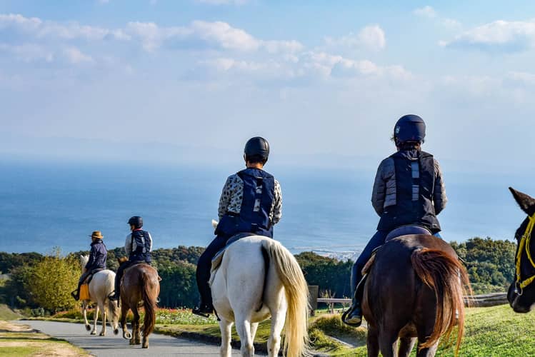 Image - d6313719-d398-473f-8b40-f12b7093d8c2