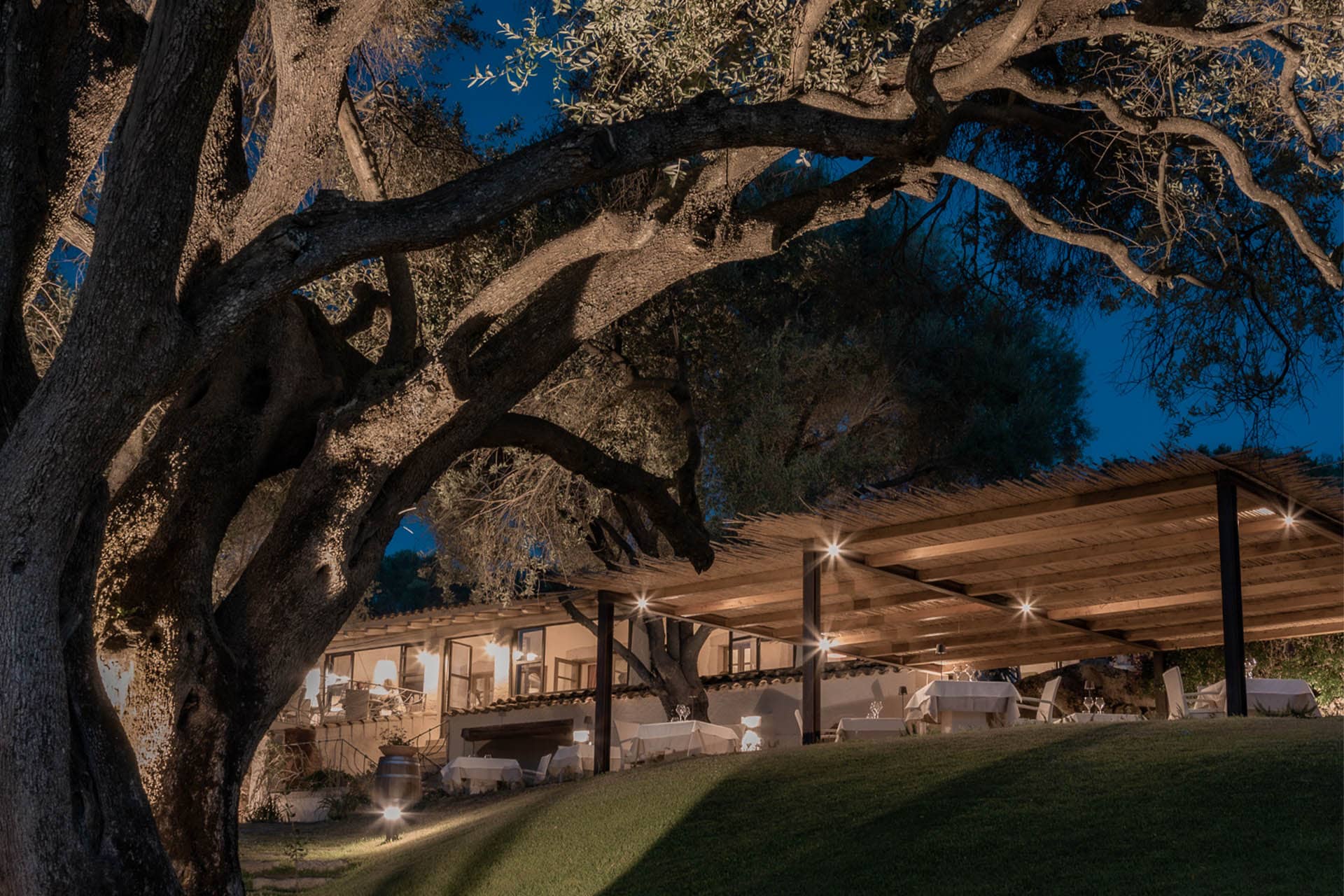 Immagine - 1daf0810-5f16-47f9-98d2-00f3f5796b68