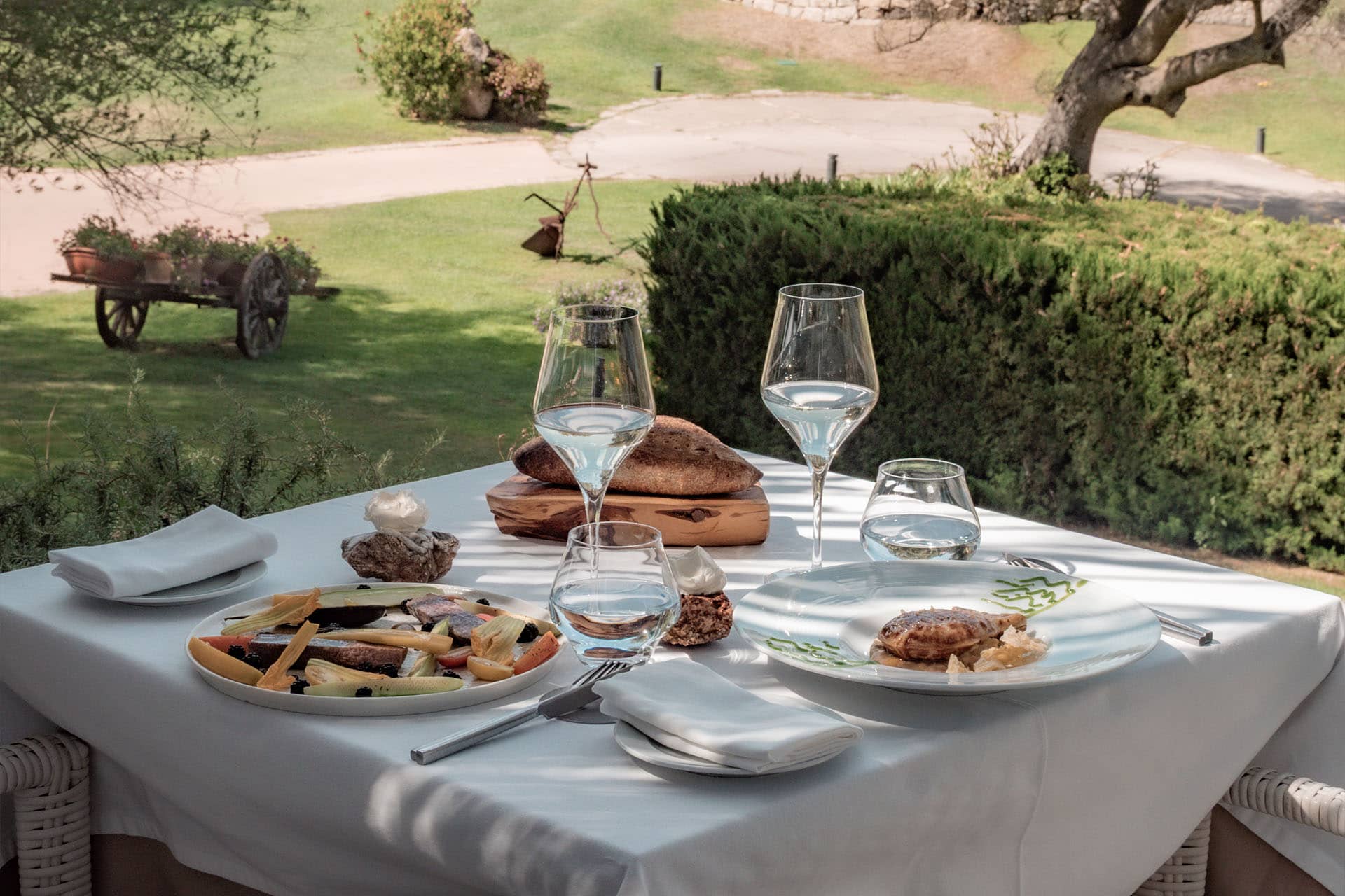 Bild - aa653704-219a-403c-80bb-d54a445d3940