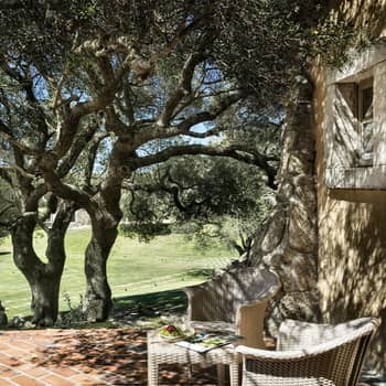 Bild - 239af695-37b6-4e82-8679-6f928e063d4e