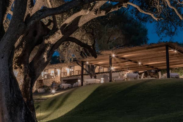 Immagine - 43983835-c85c-4b23-a311-c62d72861913