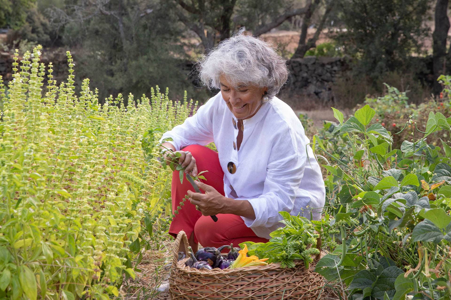 Bild - 63ad0bed-7b18-4707-84cf-9a1dd703cd6f