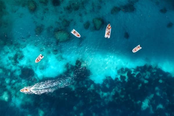 Immagine - 9631f0dc-d9f8-4411-9e49-67e596395af3