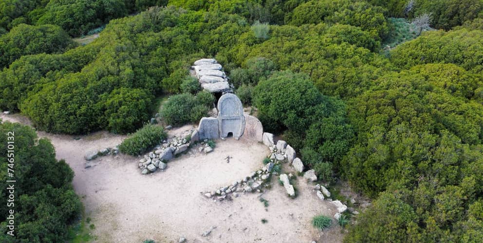 Image - 77c37a15-429a-4423-bc3c-6d306dd8fb14