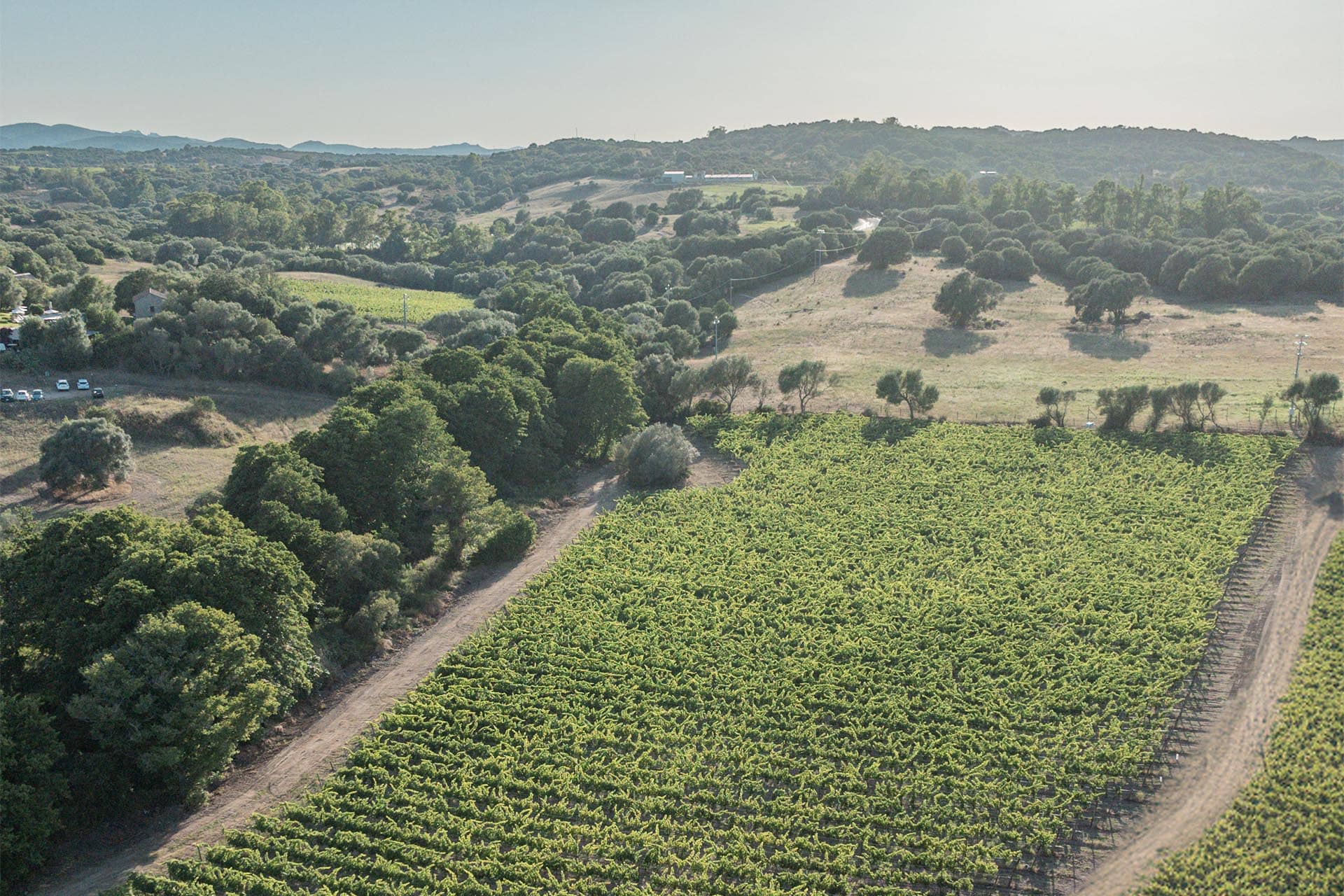 Esterni Stazzo Lu Ciaccaru Arzachena 036